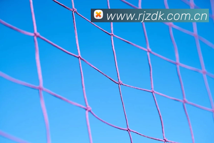 乐动在线 - 乐动(中国)品牌故事